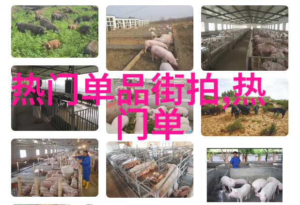 铁杆球迷必备世界杯元素腕表